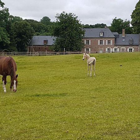 Saint-Riquier La Tilia B&B 외부 사진