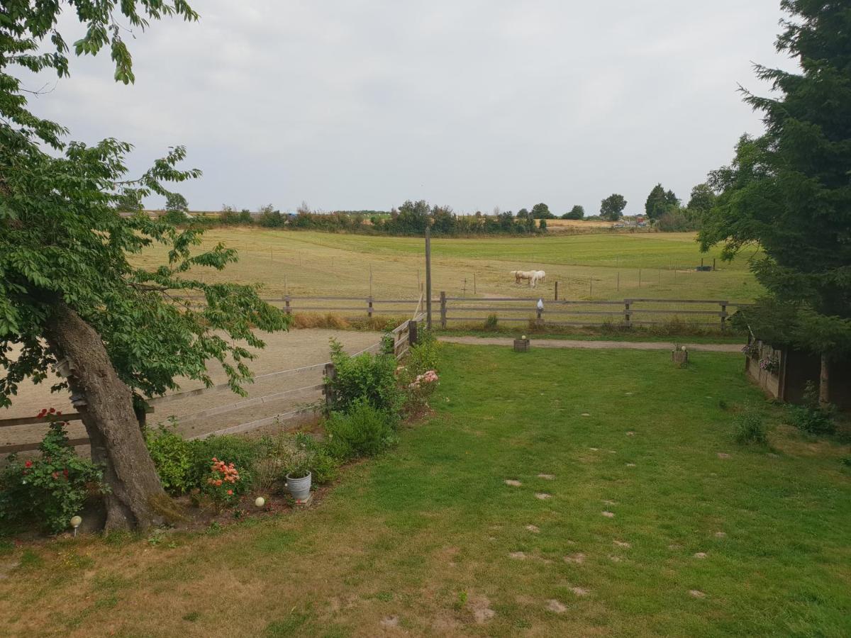 Saint-Riquier La Tilia B&B 외부 사진