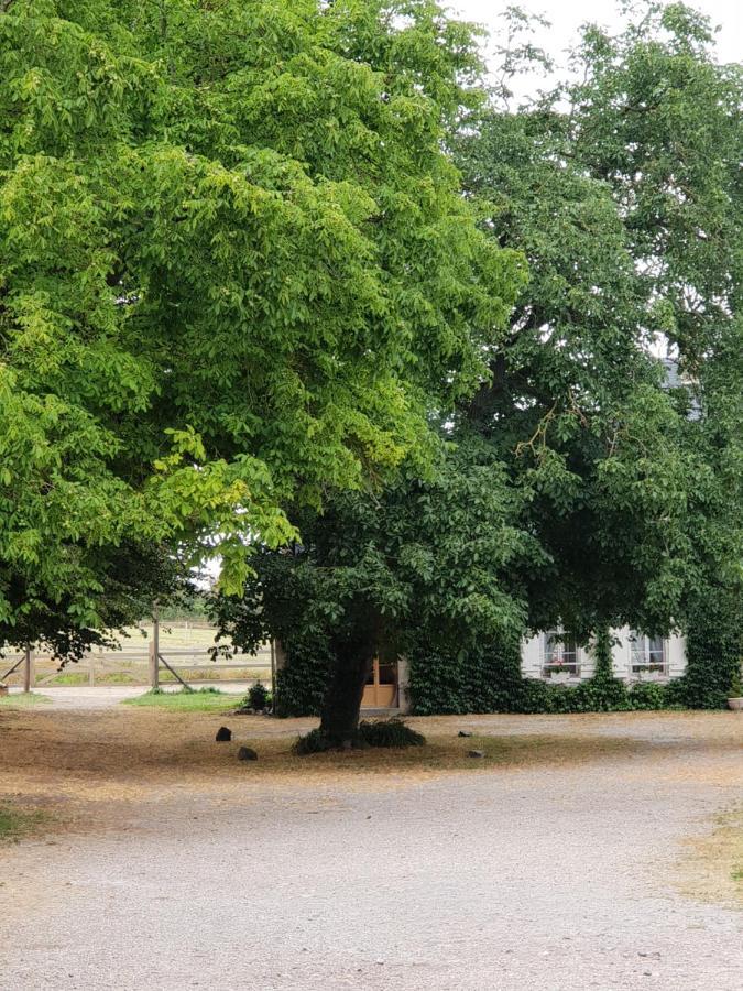 Saint-Riquier La Tilia B&B 외부 사진